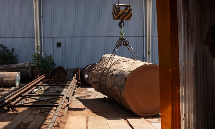 Boogaerdt-header-rondhoutzagerij-2 header rondzaaghouterij 3